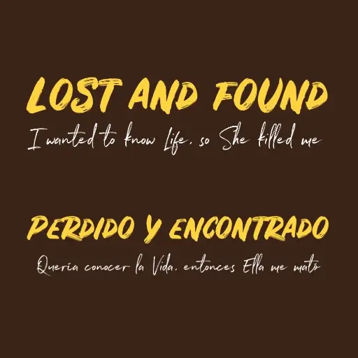 Lost and Found Poems Preview / Perdido y Encontrado Poema Vista Previa (EN/ESP)